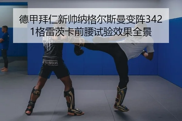 de-jia-bai-ren-xin-shuai-na-ge-er-si-man-bian-zhen-ge-lei-ci-ka-qian-yao-shi-yan-xiao-guo-quan-jing-2-482.jpg